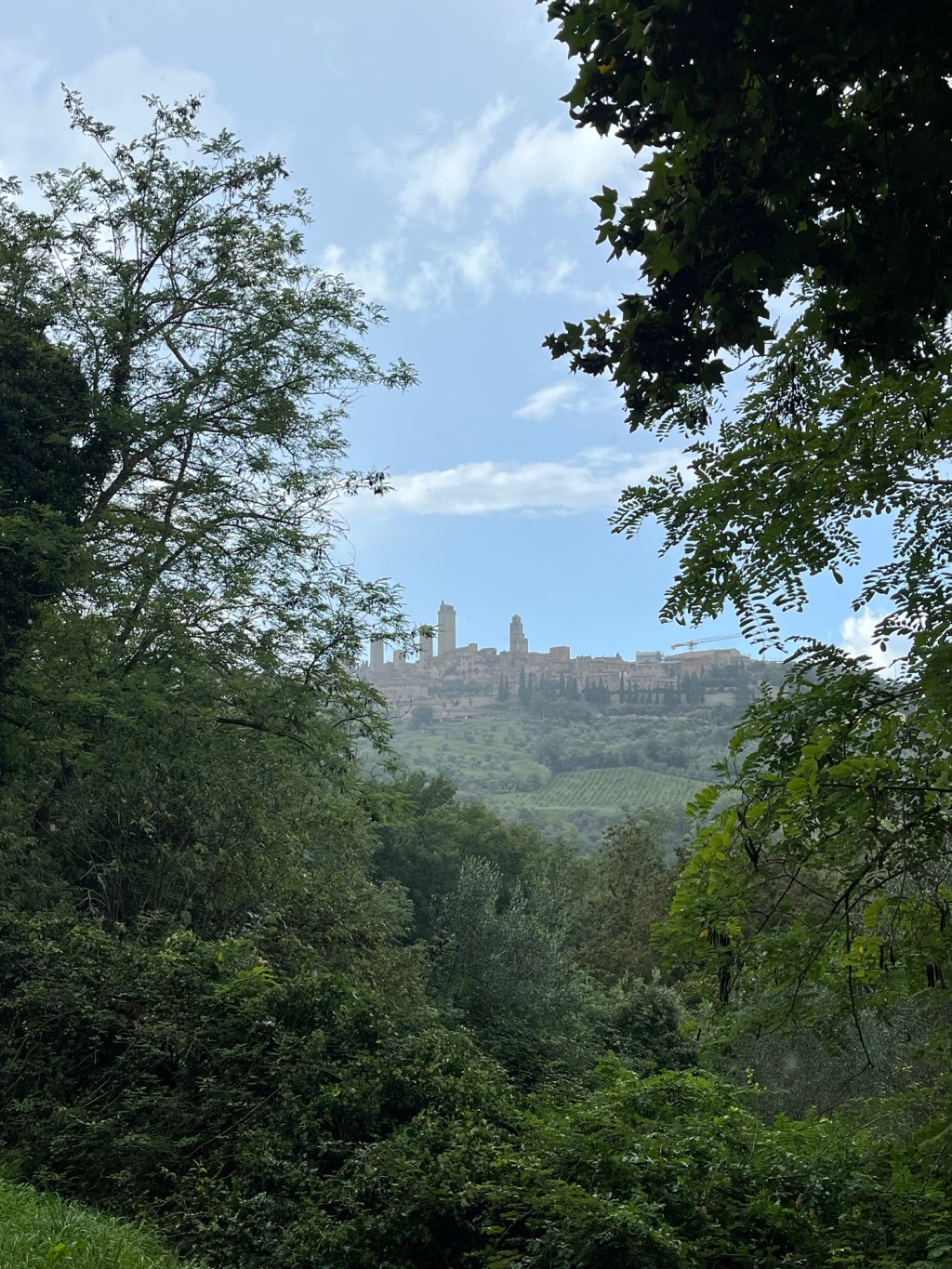 A Walk in&nbsp;Tuscany