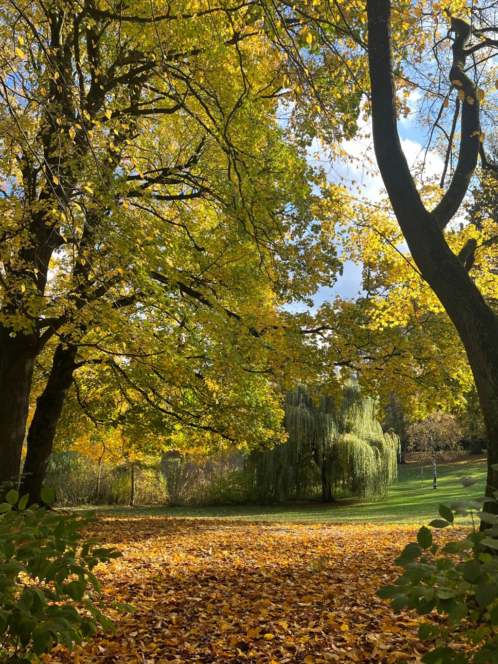 Hamburg- The Home of Mother&nbsp;Dear